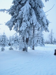 2001.12.15 15.21.18.jpg